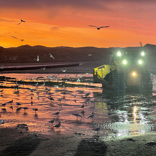 Bulldozer werkt aan strandversterking bij zonsondergang met meeuwen op het natte zand